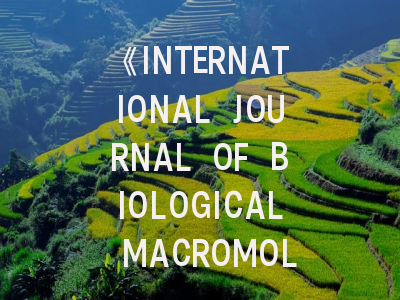 《INTERNATIONAL JOURNAL OF BIOLOGICAL MACROMOLECULES》：从投稿指南到国际影响力解析