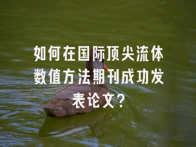 如何在国际顶尖流体数值方法期刊成功发表论文？
