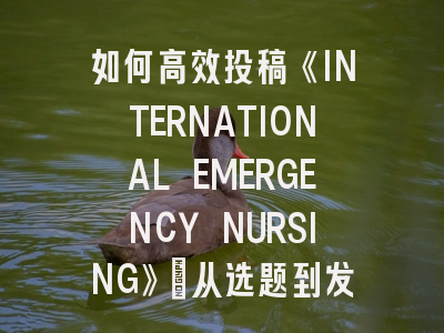 如何高效投稿《INTERNATIONAL EMERGENCY NURSING》：从选题到发表的全流程解析