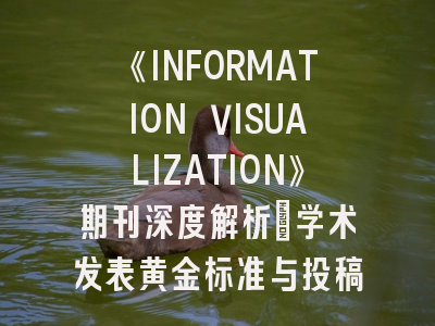《INFORMATION VISUALIZATION》期刊深度解析：学术发表黄金标准与投稿实战指南