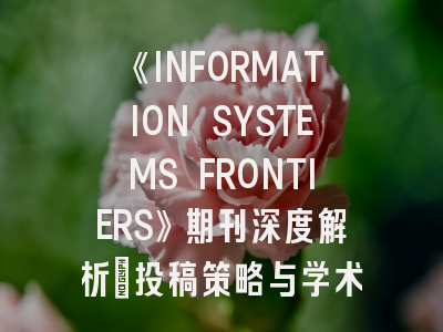 《INFORMATION SYSTEMS FRONTIERS》期刊深度解析：投稿策略与学术影响力全指南