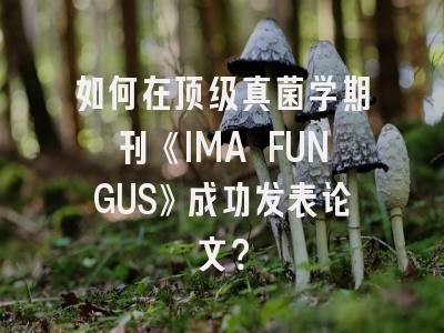 如何在顶级真菌学期刊《IMA FUNGUS》成功发表论文？