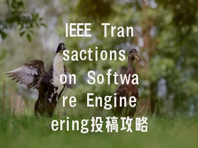 IEEE Transactions on Software Engineering投稿攻略：从评审标准到录用技巧