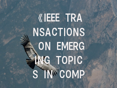 《IEEE TRANSACTIONS ON EMERGING TOPICS IN COMPUTING》期刊详解：从投稿指南到论文录取全攻略