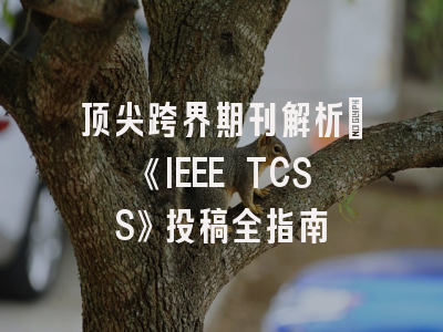 顶尖跨界期刊解析：《IEEE TCSS》投稿全指南