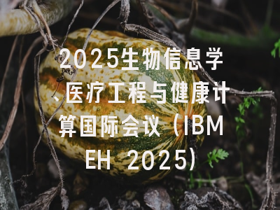 2025生物信息学、医疗工程与健康计算国际会议（IBMEH 2025）