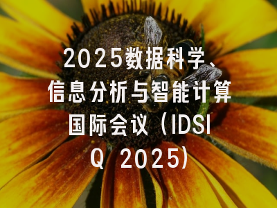 2025数据科学、信息分析与智能计算国际会议（IDSIQ 2025）