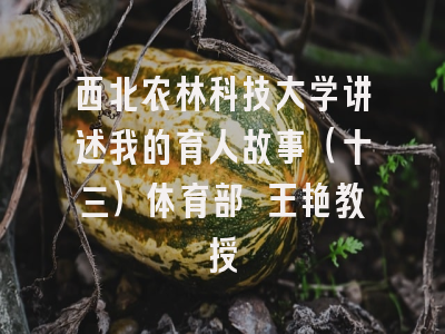 西北农林科技大学讲述我的育人故事(十三)体育部 王艳教授