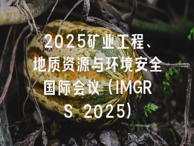 2025矿业工程、地质资源与环境安全国际会议（IMGRS 2025）