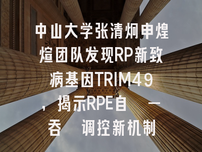 中山大学张清炯申煌煊团队发现RP新致病基因TRIM49,揭示RPE自噬—吞噬调控新机制