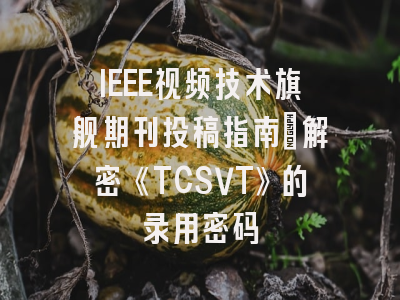 IEEE视频技术旗舰期刊投稿指南：解密《TCSVT》的录用密码