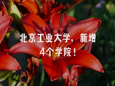 北京工业大学,新增4个学院!