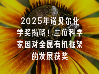2025年诺贝尔化学奖揭晓！三位科学家因对金属有机框架的发展获奖