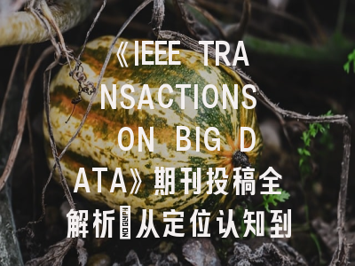 《IEEE TRANSACTIONS ON BIG DATA》期刊投稿全解析：从定位认知到录用策略