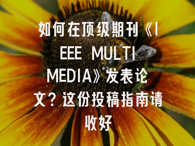 如何在顶级期刊《IEEE MULTIMEDIA》发表论文？这份投稿指南请收好