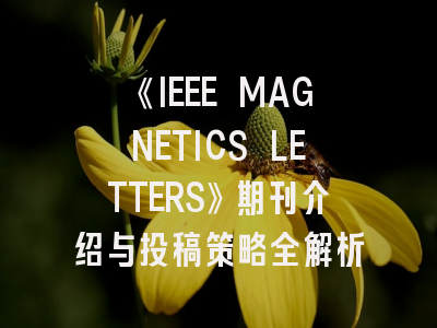 《IEEE MAGNETICS LETTERS》期刊介绍与投稿策略全解析