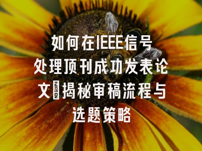 如何在IEEE信号处理顶刊成功发表论文：揭秘审稿流程与选题策略