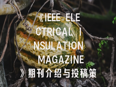 《IEEE ELECTRICAL INSULATION MAGAZINE》期刊介绍与投稿策略全解析