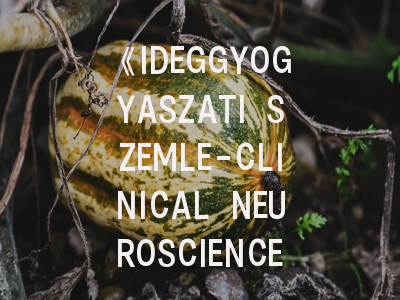 《IDEGGYOGYASZATI SZEMLE-CLINICAL NEUROSCIENCE》：神经科学研究者必备的发表秘籍