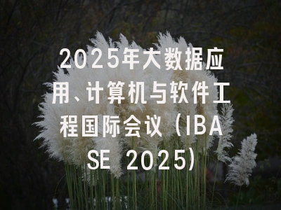 2025年大数据应用、计算机与软件工程国际会议（IBASE 2025）