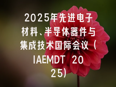 2025年先进电子材料、半导体器件与集成技术国际会议（IAEMDT 2025）