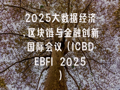 2025大数据经济、区块链与金融创新国际会议（ICBDEBFI 2025）