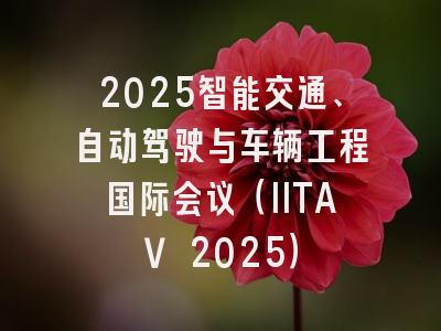 2025智能交通、自动驾驶与车辆工程国际会议(IITAV 2025)