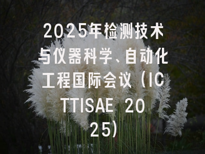2025年检测技术与仪器科学、自动化工程国际会议(ICTTISAE 2025)
