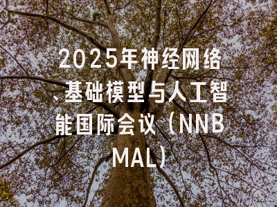 2025年神经网络、基础模型与人工智能国际会议（NNBMAL）