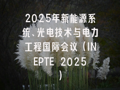 2025年新能源系统、光电技术与电力工程国际会议（INEPTE 2025）