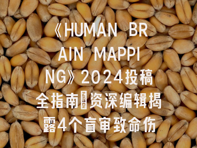 《HUMAN BRAIN MAPPING》2024投稿全指南：资深编辑揭露4个盲审致命伤