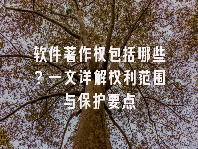软件著作权包括哪些？一文详解权利范围与保护要点