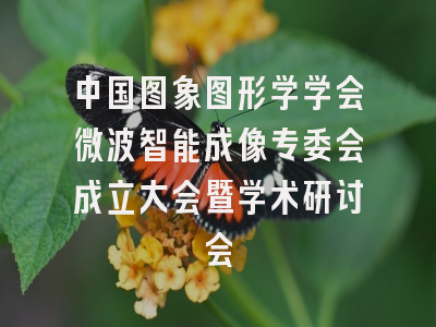 中国图象图形学学会微波智能成像专委会成立大会暨学术研讨会