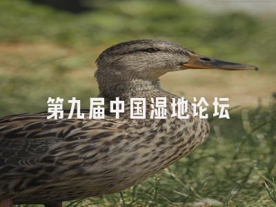 第九届中国湿地论坛