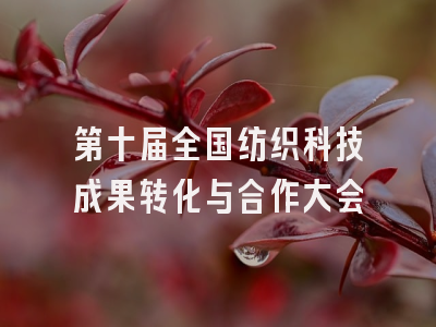 第十届全国纺织科技成果转化与合作大会