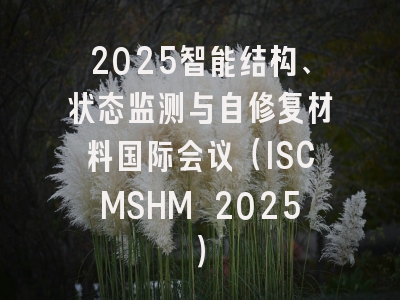 2025智能结构、状态监测与自修复材料国际会议(ISCMSHM 2025)