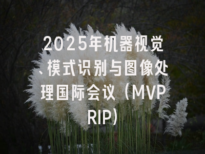 2025年机器视觉、模式识别与图像处理国际会议（MVPRIP）