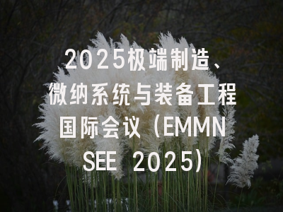 2025极端制造、微纳系统与装备工程国际会议（EMMNSEE 2025）