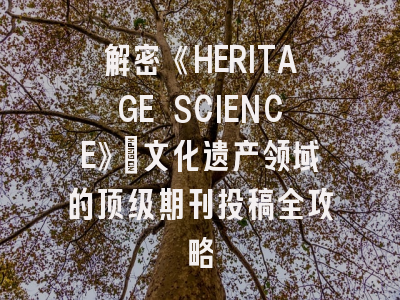 解密《HERITAGE SCIENCE》：文化遗产领域的顶级期刊投稿全攻略