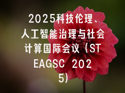 2025科技伦理、人工智能治理与社会计算国际会议（STEAGSC 2025）