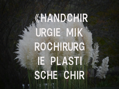 《HANDCHIRURGIE MIKROCHIRURGIE PLASTISCHE CHIRURGIE》期刊介绍与投稿策略全解析