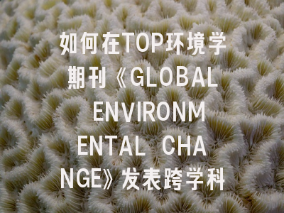 如何在TOP环境学期刊《GLOBAL ENVIRONMENTAL CHANGE》发表跨学科研究成果？