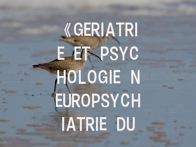 《GERIATRIE ET PSYCHOLOGIE NEUROPSYCHIATRIE DU VIEILLISSEMENT》期刊介绍与投稿策略