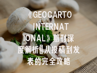 《GEOCARTO INTERNATIONAL》期刊深度解析：从投稿到发表的完全攻略
