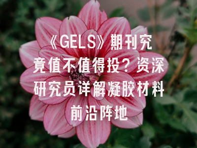 《GELS》期刊究竟值不值得投？资深研究员详解凝胶材料前沿阵地