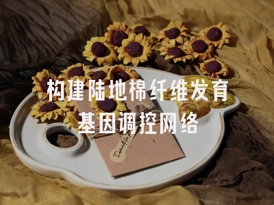 构建陆地棉纤维发育基因调控网络