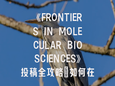 《FRONTIERS IN MOLECULAR BIOSCIENCES》投稿全攻略：如何在国际顶刊发表分子生物学研究？