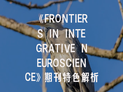 《FRONTIERS IN INTEGRATIVE NEUROSCIENCE》期刊特色解析与投稿成功率提升指南