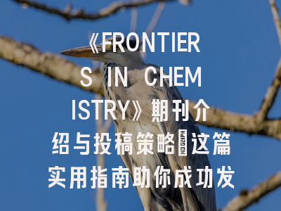 《FRONTIERS IN CHEMISTRY》期刊介绍与投稿策略：这篇实用指南助你成功发文