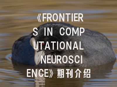 《FRONTIERS IN COMPUTATIONAL NEUROSCIENCE》期刊介绍与投稿策略